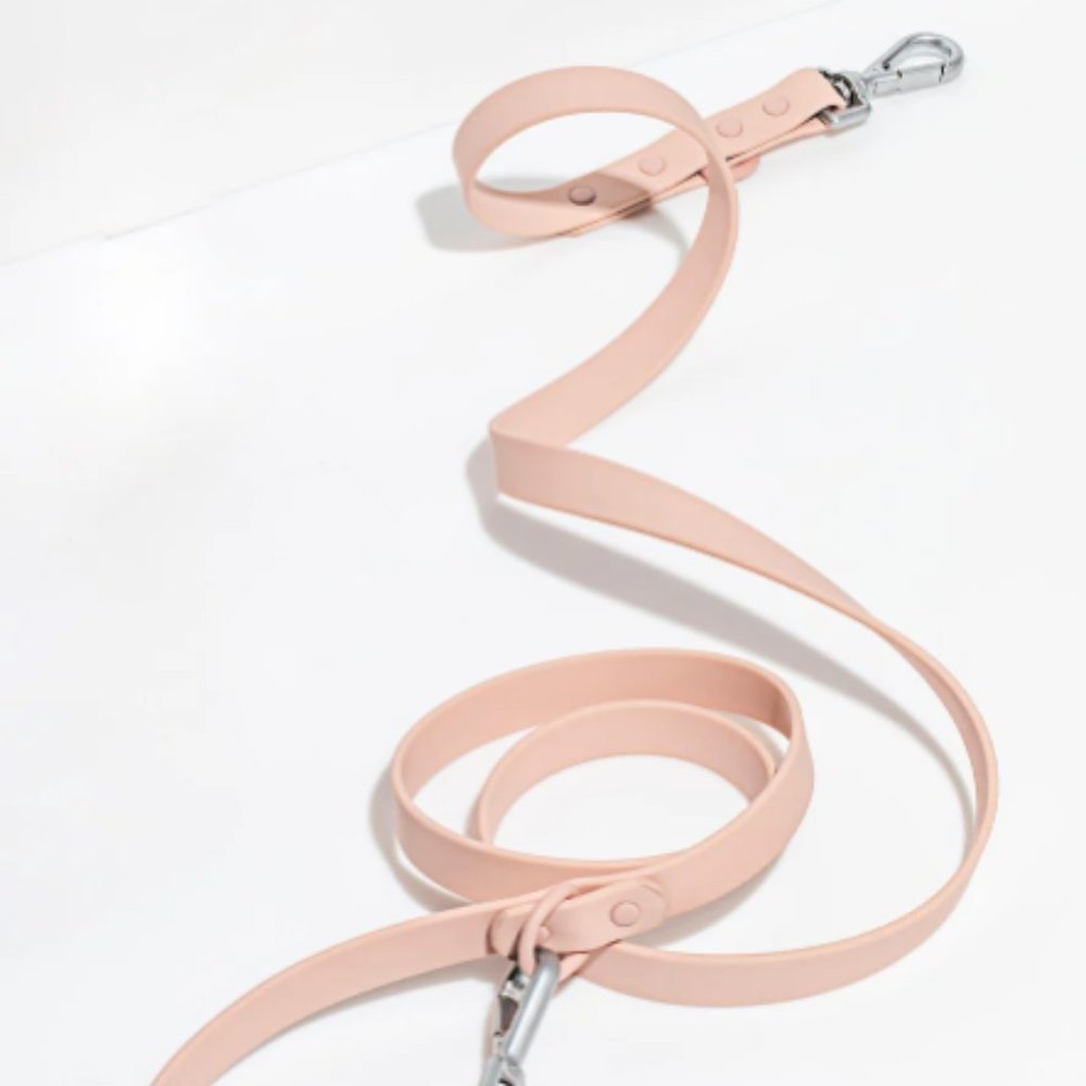 Wild One Blush Leash